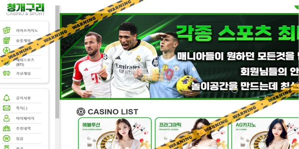 먹튀사이트 청개구리 먹튀검증