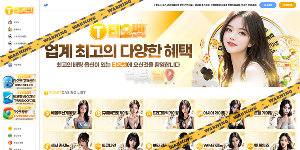 먹튀사이트 티오벳 먹튀검증