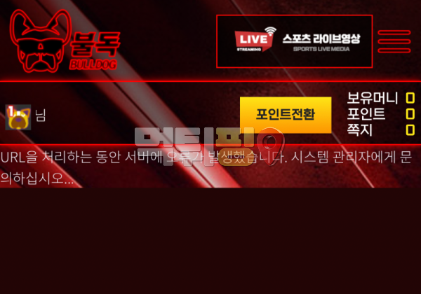 불독 먹튀 확정 증거자료