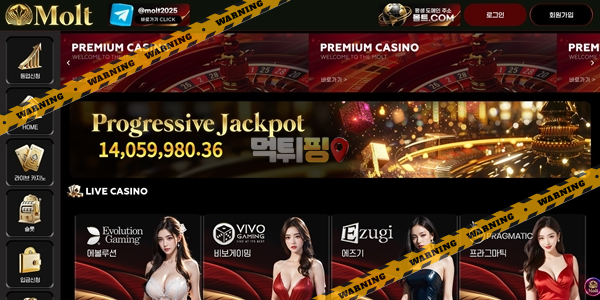 먹튀사이트 몰트카지노 먹튀검증