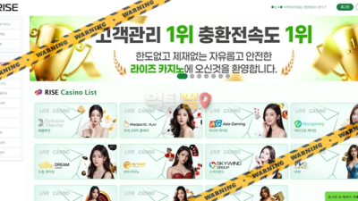 먹튀사이트 라이즈 먹튀검증