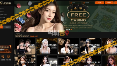 먹튀사이트 프리카지노 먹튀검증