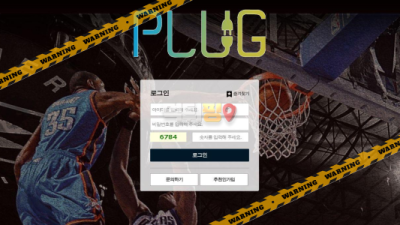 먹튀사이트 플러그 먹튀검증