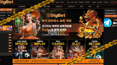 먹튀사이트 빅벳 먹튀검증