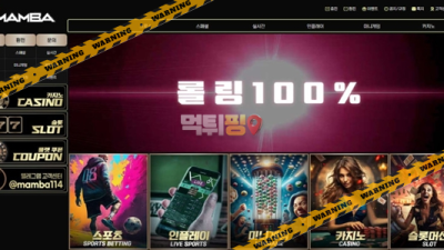 먹튀사이트 맘바 먹튀검증