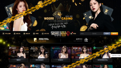 먹튀사이트 우리카지노 먹튀검증