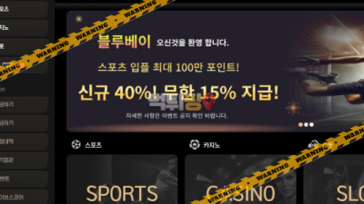 먹튀사이트 블루베이 먹튀검증