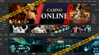 먹튀사이트 쿨벳 먹튀검증