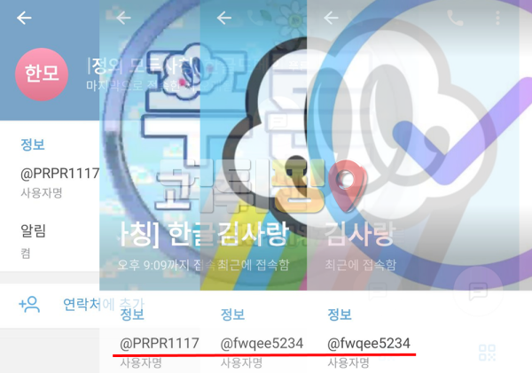 푸른 환전지연 먹튀 확정