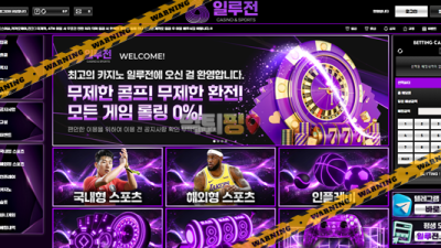 먹튀사이트 일루전 먹튀검증
