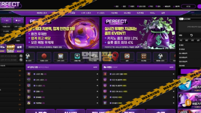 먹튀사이트 퍼펙트 먹튀검증