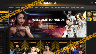 먹튀사이트 핸즈 먹튀검증