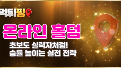 온라인 홀덤, 초보도 실력자처럼! 승률 높이는 실전 전략